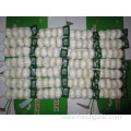 Cold Storage Pure White Garlic